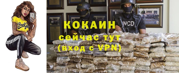 крисы Абдулино