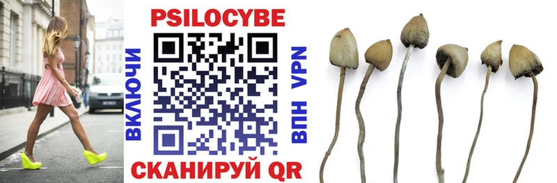 Псилоцибиновые грибы Psilocybe Верхоянск